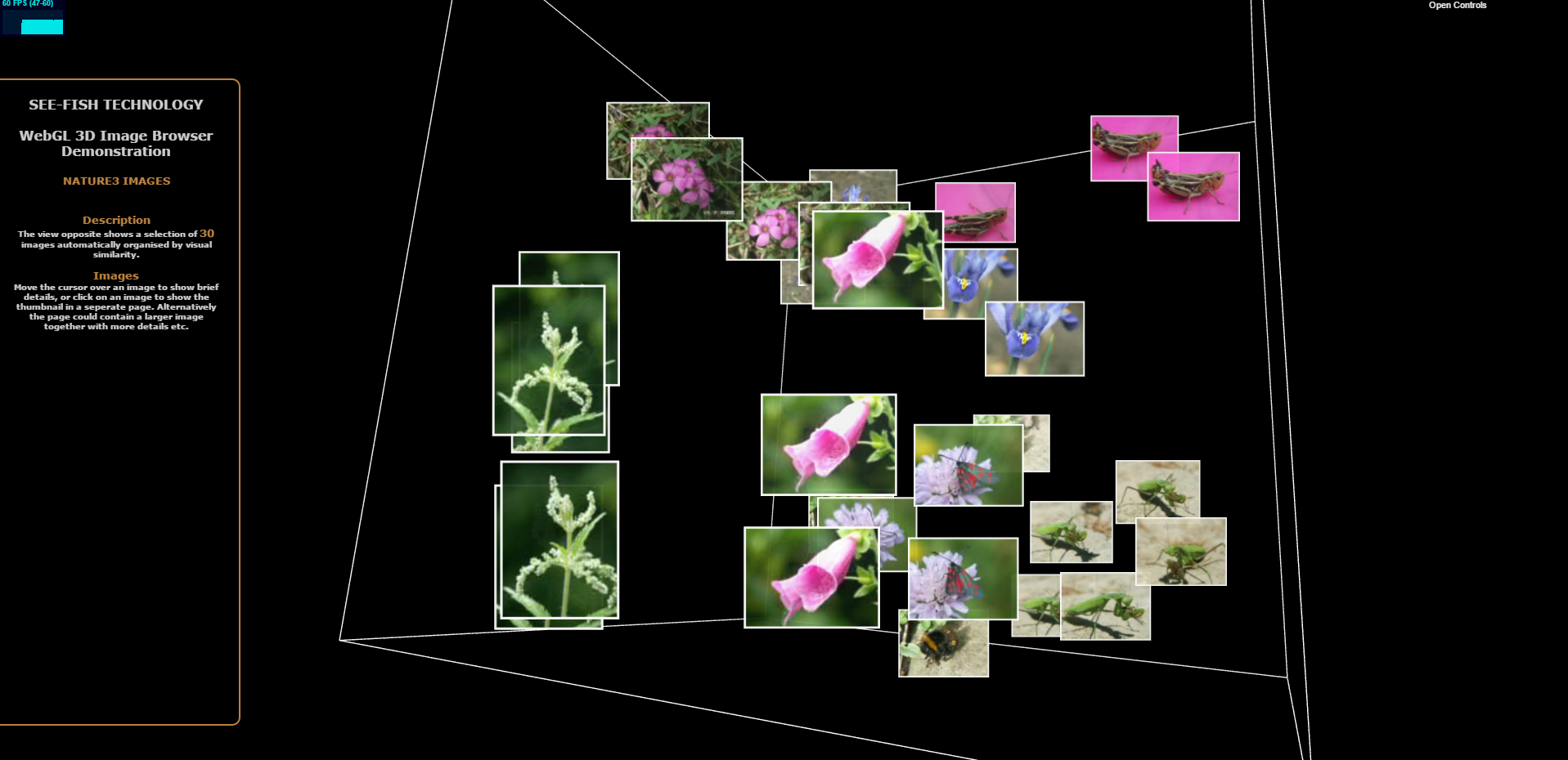VRML Nature Demo