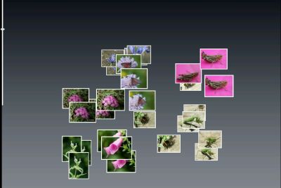 DHTML Nature Demo