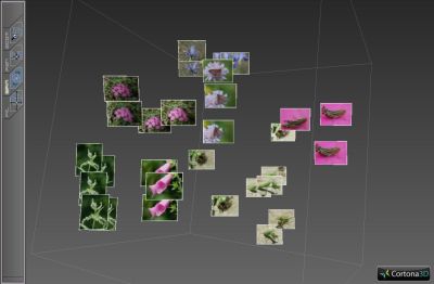 VRML Nature Demo